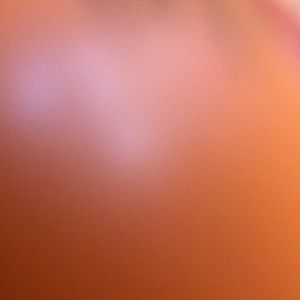 Meet your Posher, Ava